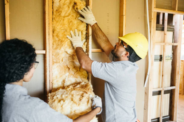 Best Reflective Insulation  in Austintown, OH